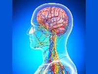 Санофи объявляет о выводе на российский рынок препарата Дупиксент